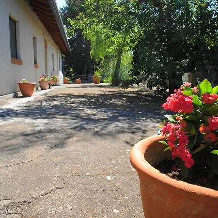 Etna Paradise Locazioni Brevi Tatil Evi