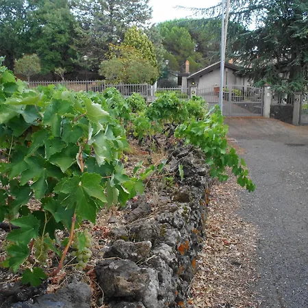 Etna Paradise Locazioni Brevi * Ragalna